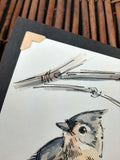 5/30 Tufted Titmouse